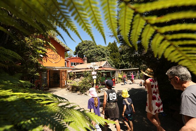 Captivating Railway Journey in Coromandel - Why this railway feels different from a normal train ride
