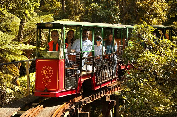 Captivating Railway Journey in Coromandel - The Barry Brickell story behind the tracks