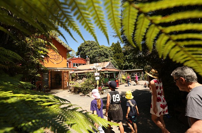 Captivating Railway Journey in Coromandel - Who will enjoy this railway most