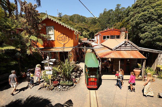 Captivating Railway Journey in Coromandel - Practical timing and cancellation advice