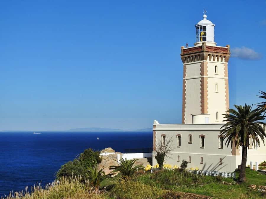 Casablanca to Tangier Guided Day Trip By High-Speed Train - The free camel ride