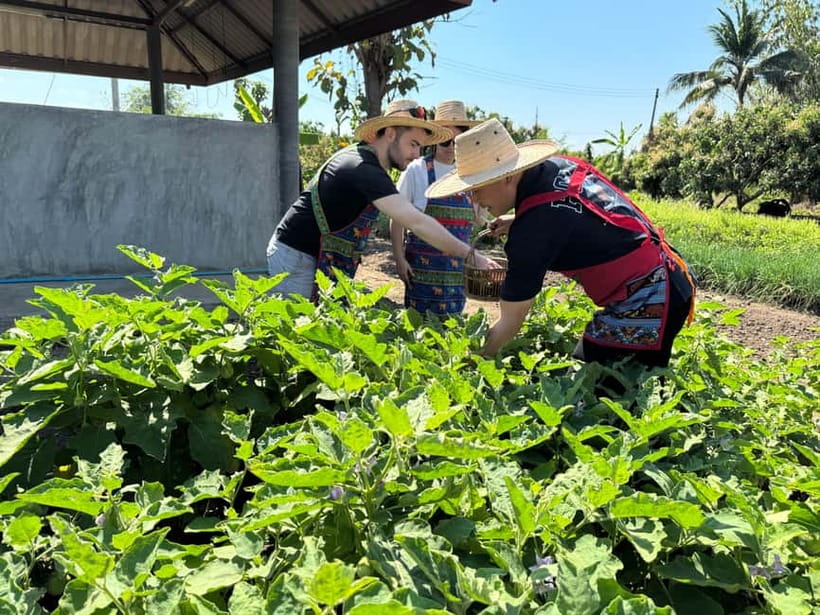 Chiang Mai : Cook in Farm, Market tour & Go by a Local Train - Cooking Thai Food From Market to Table