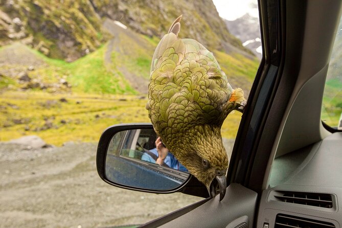 Christchurch to Arthur's Pass Day Tour: TranzAlpine Train & Lunch - The TranzAlpine ride back to Christchurch