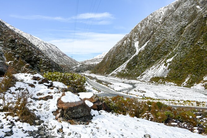 Christchurch to Arthur's Pass Day Tour: TranzAlpine Train & Lunch - Is $273.05 a fair price?