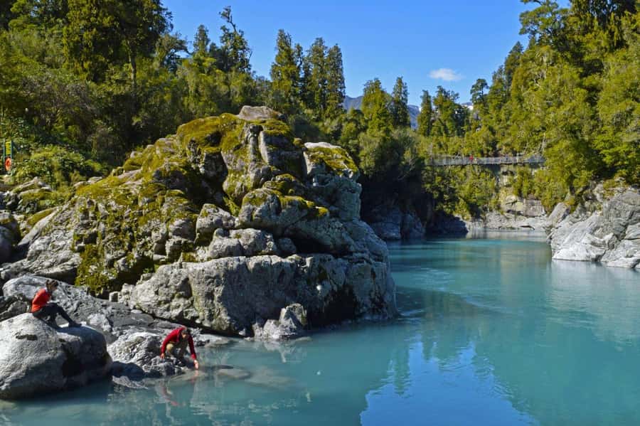 Christchurch to Franz Josef 1 Way Tour inc TranzAlpine Train - Key points to know before booking