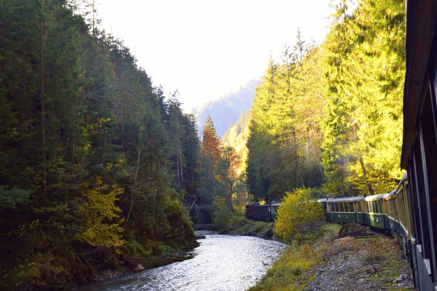 CJ03 - Day trip to Maramures Mocanita Train from Cluj Napoca - Key points to know before you book
