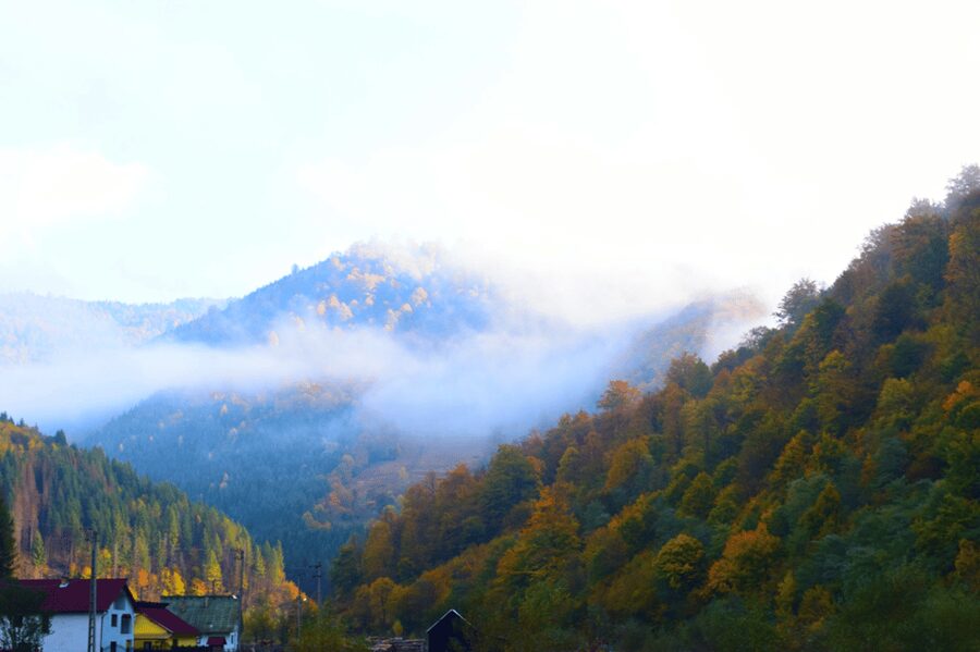 CJ03 - Day trip to Maramures Mocanita Train from Cluj Napoca - The language question matters