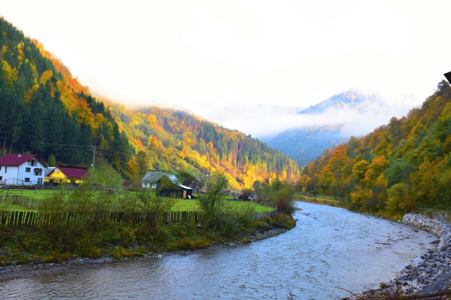 CJ03 - Day trip to Maramures Mocanita Train from Cluj Napoca - The 7:00 departure from Cluj