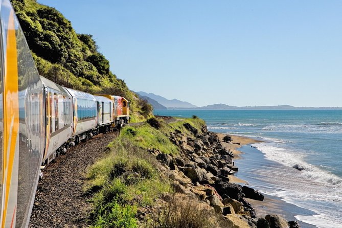 Coastal Pacific Train Journey from Christchurch to Picton - Key points to know before boarding