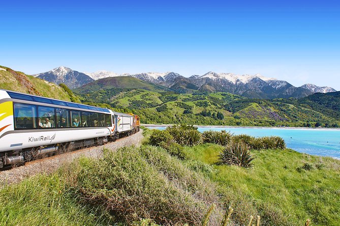 Coastal Pacific Train Journey from Christchurch to Picton - Christchurch departure at 7:00 am