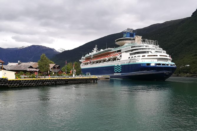 Cruise Special: Private Trip To Canyons And Waterfalls With Flåm Railway - Key points to know before booking