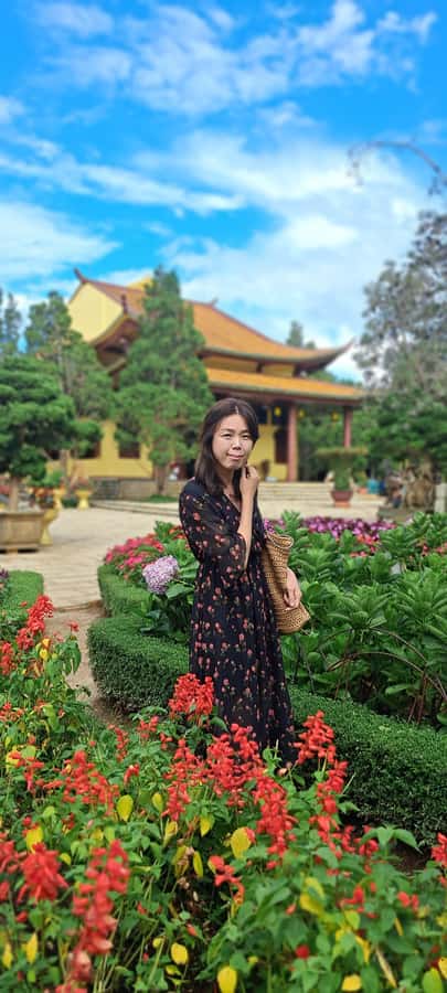Dalat city tour by private car Combined train trip, Ziplines - Dalat’s old train station and the ride to Linh Phuoc Pagoda