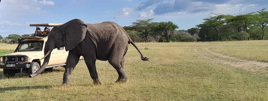 Dar es Salaam: Mikumi National Park Day Trip with Train Ride - Why this train-and-safari combination works