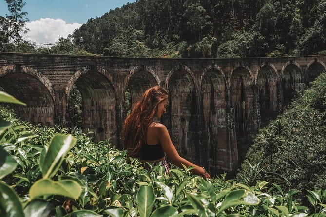 Day Excursions to Horton Plains & Local Train Experience from Ella - Ella Gap and the highland views