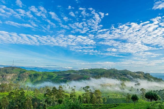 Day Excursions to Horton Plains & Local Train Experience from Ella - What the $60 price really covers