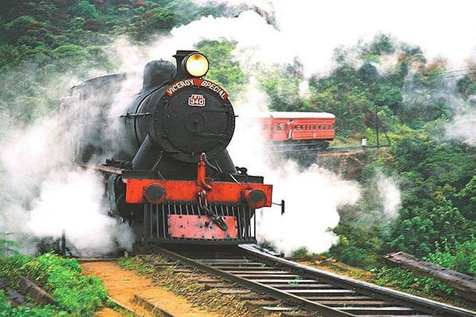 Day Excursions to Horton Plains & Local Train Experience from Ella - Weather, clothing, and practical limits