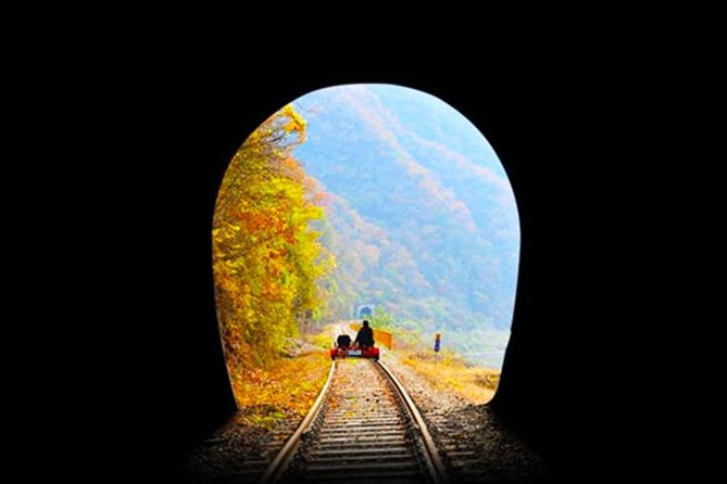 Day Tour to Gangchon Rail Bike Nami Island and Petite France - Petite France: a colorful final stop