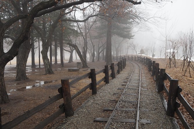 Day Tour to Gangchon Rail Bike Nami Island and Petite France - What the private setup really gives you