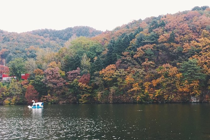 Day Tour to Gangchon Rail Bike Nami Island and Petite France - Nami Island: a scenic change of pace
