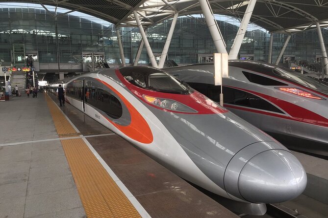 Day Tour to Shenzhen from Hong Kong by High Speed Bullet Train - Key points to know before booking