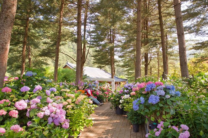 Day Trip to Nami Island with Rail bike and The Garden of Morning Calm - Gangchon Rail Park: the most playful stop