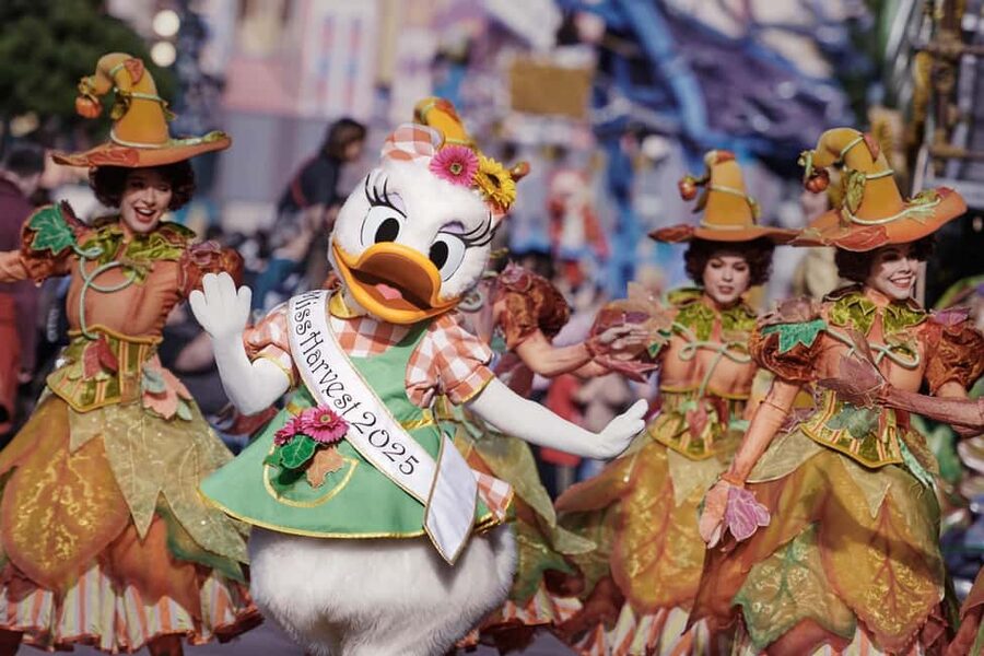 Disneyland® Paris Tickets for Train and Parks - Should you book it?