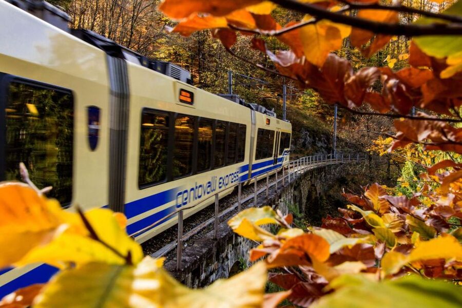Domodossola: Centovalli Train & Valle Vigezzo Museums Ticket - Should You Book the Domodossola to Santa Maria Maggiore Trip?