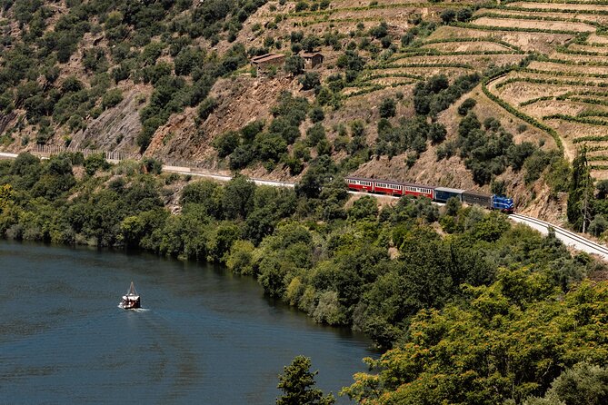 Douro Experience - Boat and Train Ride - Lunch and Wine Tasting - All Included - Seeing the Douro from the road