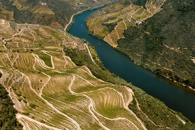 Douro River Cruise from Pinhão with Scenic Train Return - Who will enjoy this Douro cruise most