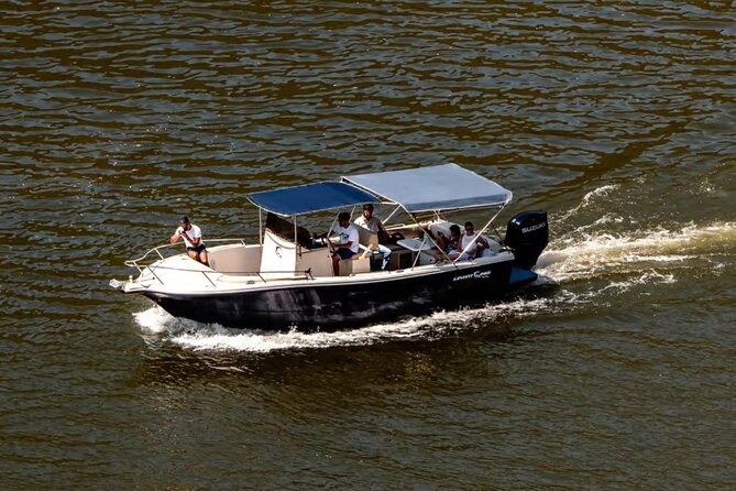 Douro River Cruise from Pinhão with Scenic Train Return - The terraced vineyards from the river