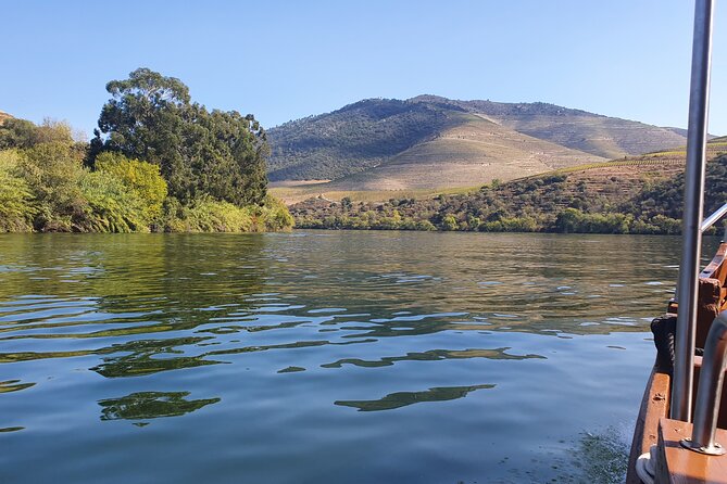 Douro Valley Tour with Train and Vinho Verde - Wine and olive oil near Vilarinho de São Romão
