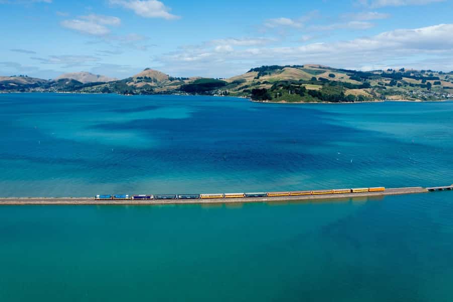 Dunedin: Scenic Railway Tour of Otago's Coastline - What the onboard storyteller adds
