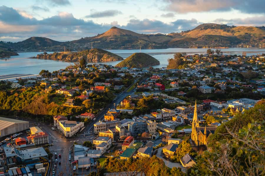 Dunedin: Scenic Railway Tour of Otago's Coastline - Choosing Arc Brewery or continuing to Merton