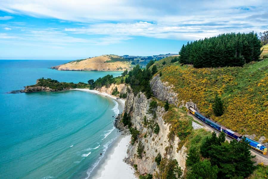 Dunedin: Scenic Railway Tour of Otago's Coastline - Is $77 a fair price?