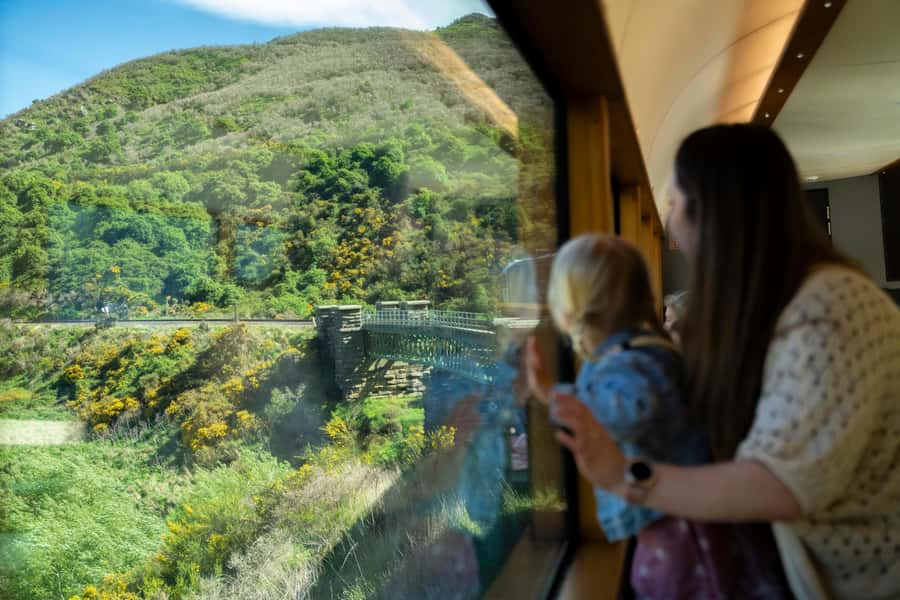 Dunedin: Scenic Railway Tour Through the Taieri Gorge - Who should book the Taieri Gorge Railway?