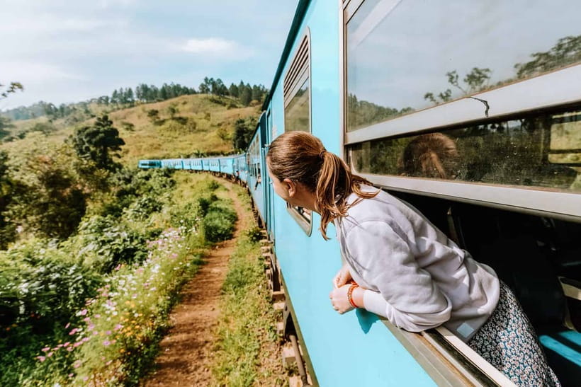 Ella Day Tour with Scenic Train Ride & Tea Plantation Visit - What the $226 price covers