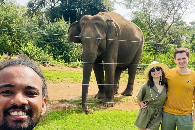 Ella Day Trip with Train Ride Waterfalls and Tea Factory Tour - Why this Ella day trip makes sense from Galle