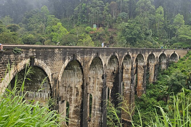 Ella Train Trip & Udawalawa Private Day Tour Bentota/Kosgoda - Key points to know before booking