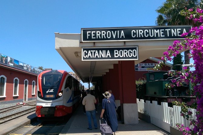 Etna Wine Tasting and Train Tour - The 9:30 a.m. start in Catania