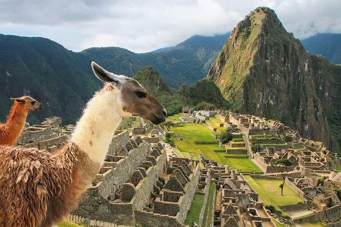 Excursion to MachuPicchu with Train Vistadome Full Day - Who should choose this Machu Picchu trip?