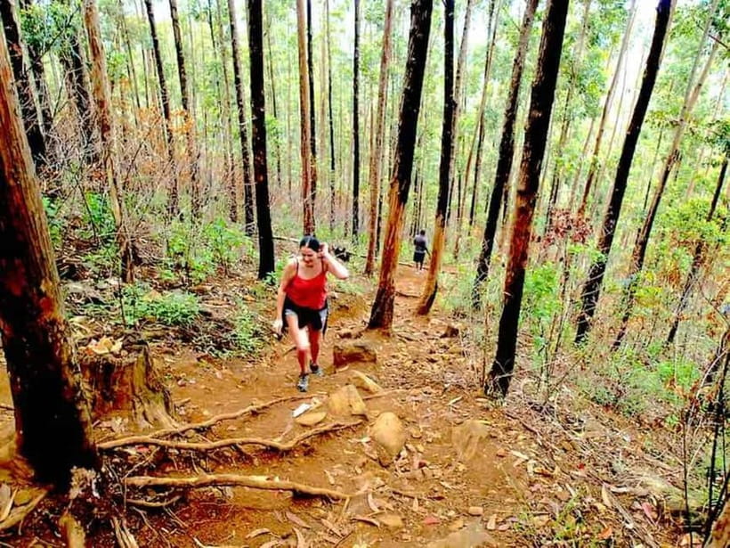 Explore Ella: Rock Hike, Loop, Falls, Nine arch & Train View - Why this Ella day works so well