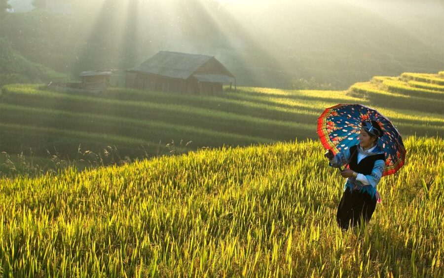 Explore Sa Pa with Overnight Train & Sleeper Bus & Trekking - Ma Tra and Ta Phin, a quieter morning among local villages