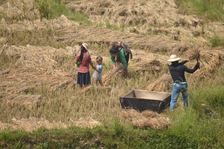 Explore Sa Pa with Overnight Train & Sleeper Bus & Trekking - Choosing between Lao Chai to Ta Van and Cat Cat