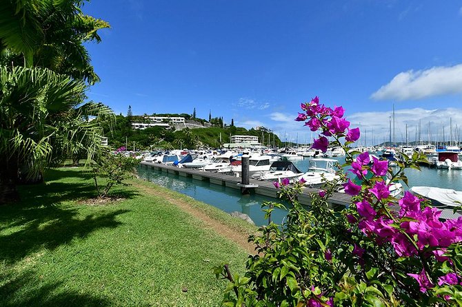 FAMOUS Local Green Train Noumea (01h30) - What the Green Train actually gives you