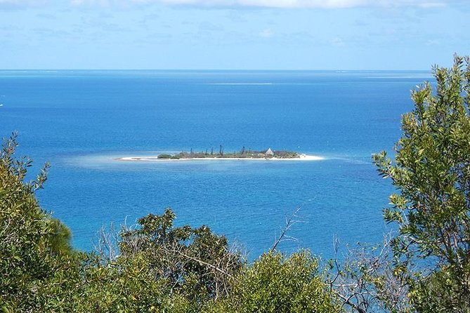 FAMOUS Local Green Train Noumea (01h30) - Who will enjoy this most