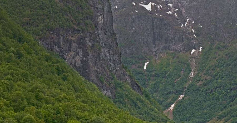 Fjords: Private Trip with Train and Cruise Ride - Why this Oslo day trip works