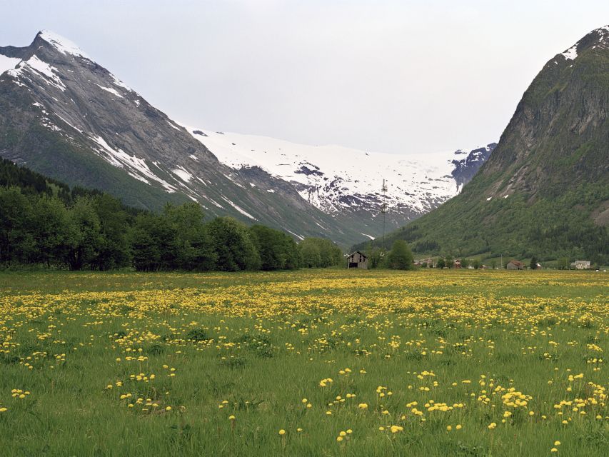 Fjords: Private Trip with Train and Cruise Ride - Bergen Railway and the change to Flåm