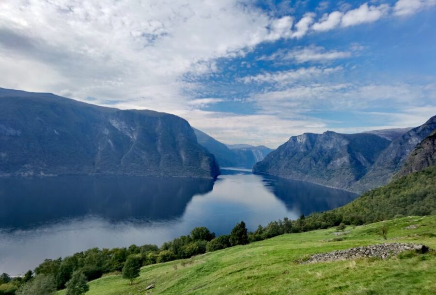 Flåm Flexible Tour with Stegastein, cruise and train include - Flåm Railway: a famous ride with a fixed clock