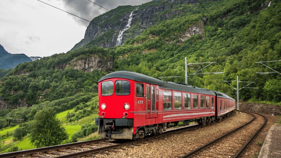 Flåm Flexible Tour with Stegastein, cruise and train include - What the private guide adds