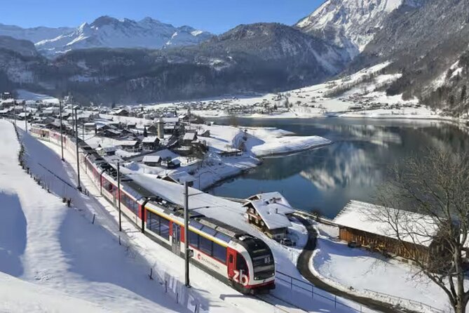 From Basel: Premium Panoramic train, Lucerne & Interlaken Tour - Key points to know before booking